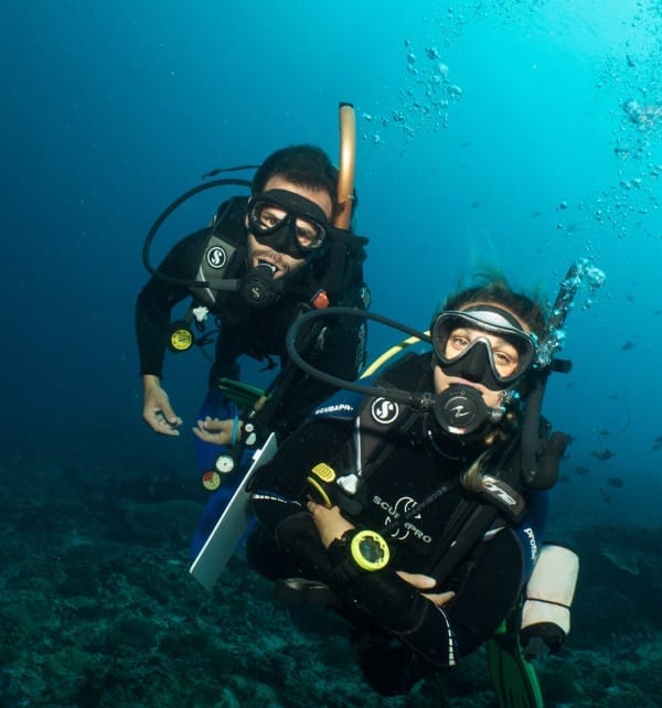 adv open water-1